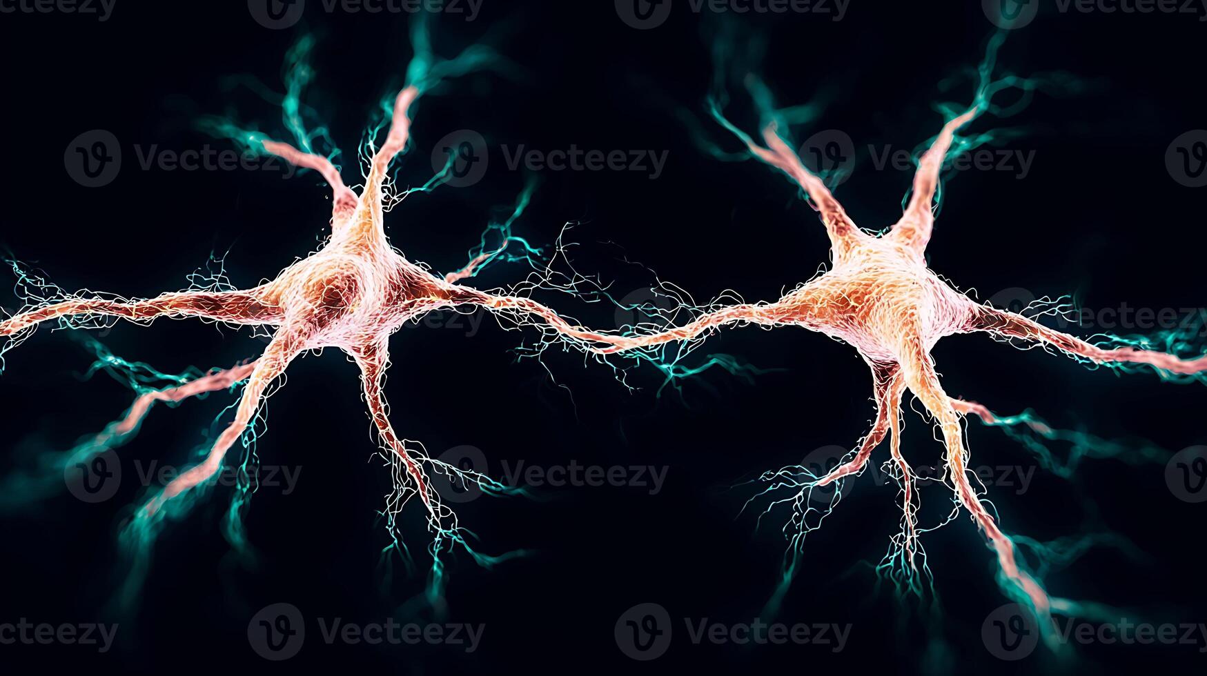 Close-up view of interconnected neurons showcasing synaptic connections in a dark background photo