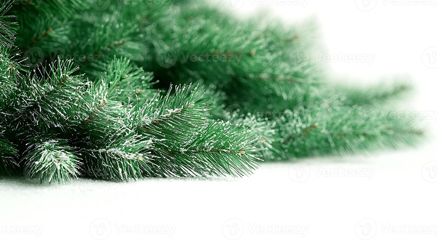 Close-up view of lush green pine branches dusted with snow, creating a serene winter atmosphere photo