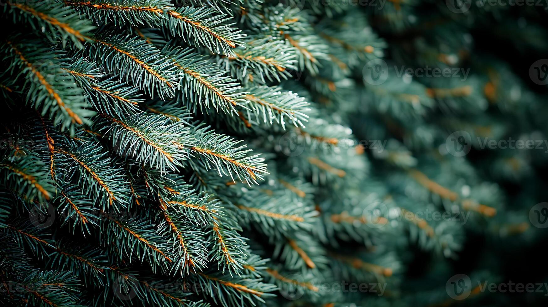 Close-up view of lush green pine tree branches, showcasing detailed textures and vibrant colors photo
