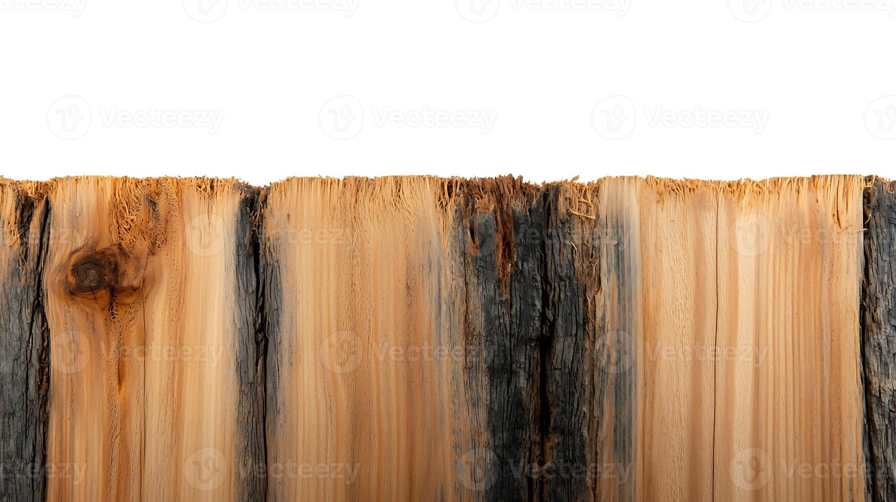 Close-up view of textured wooden logs with varying colors and patterns against a white background photo