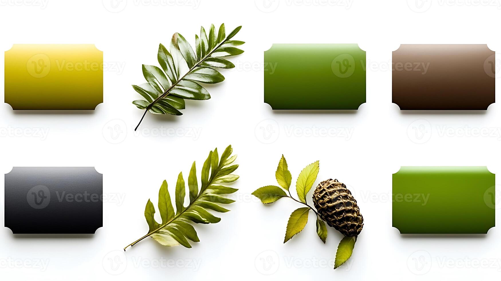 Colorful arrangement of leaves and pine cones on a white background showcasing nature's palette photo
