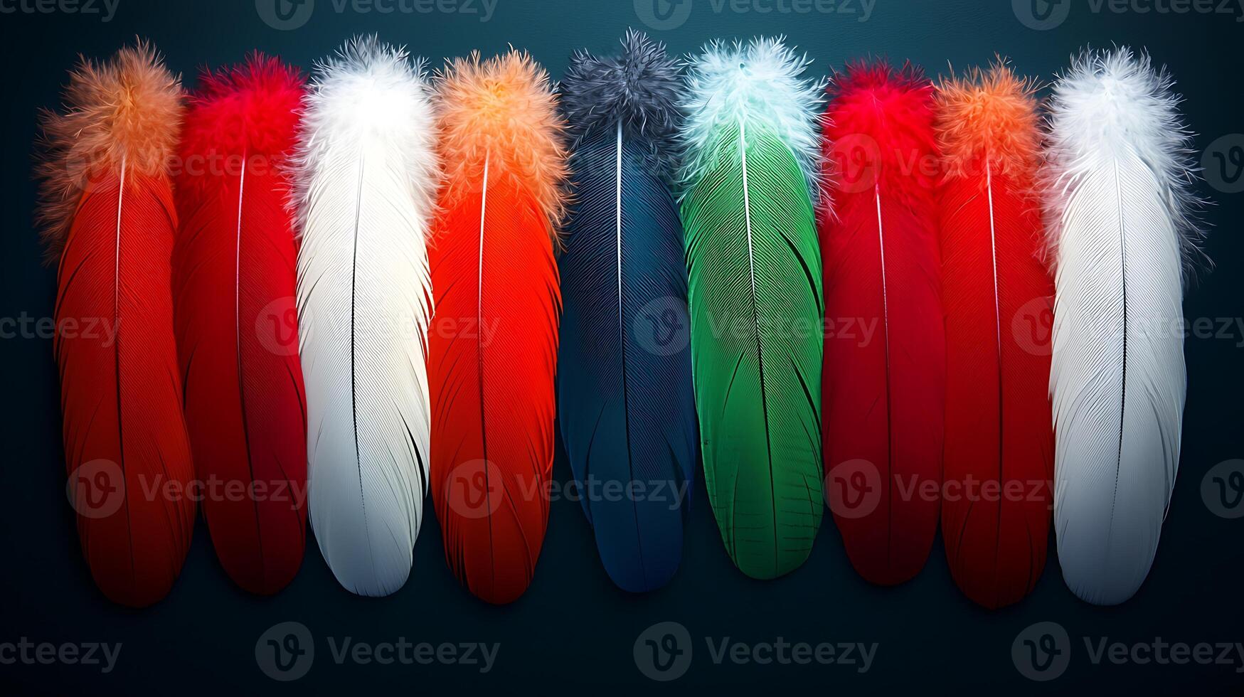 Colorful feathers arranged in a vibrant display, showcasing textures and hues against a dark background photo