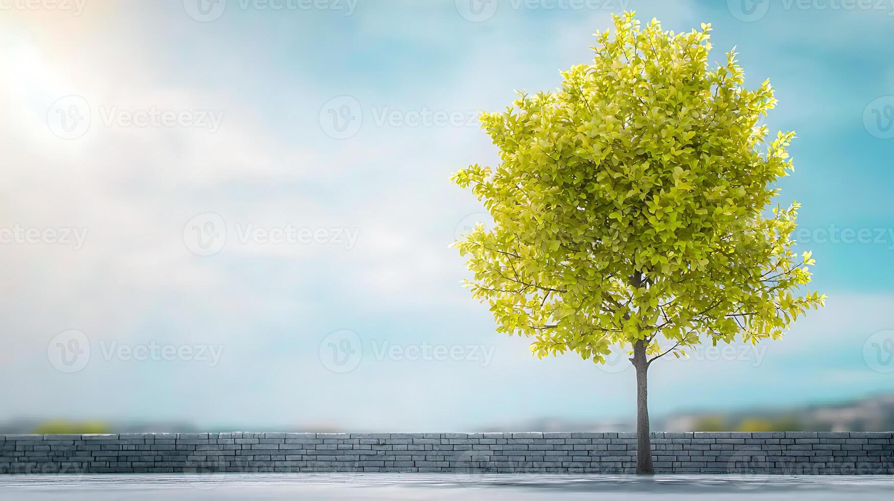 Lush Green Tree Standing Alone Against a Clear Sky with Soft Clouds and a Stone Wall photo