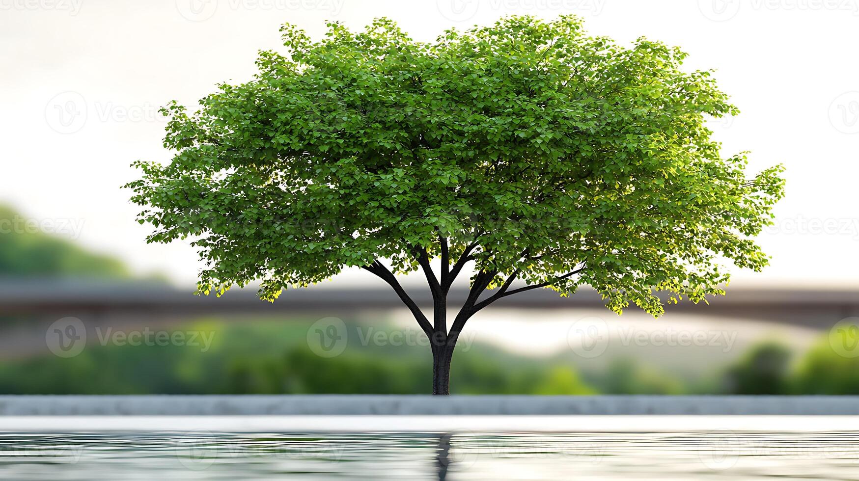 Lush green tree standing tall by a serene water body with a bridge in the background photo