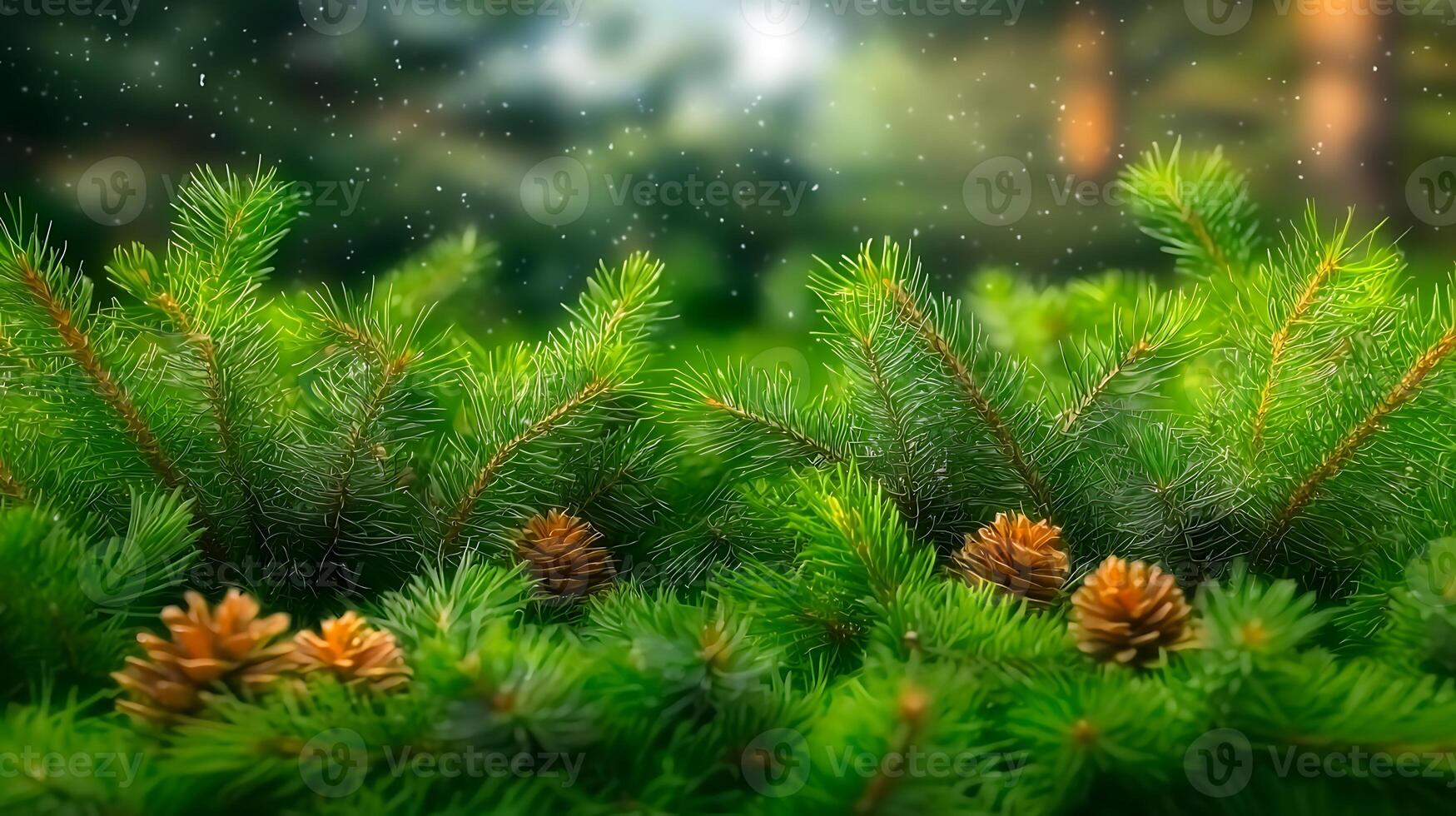 Lush pine branches adorned with cones, set in a serene forest backdrop with soft sunlight filtering photo