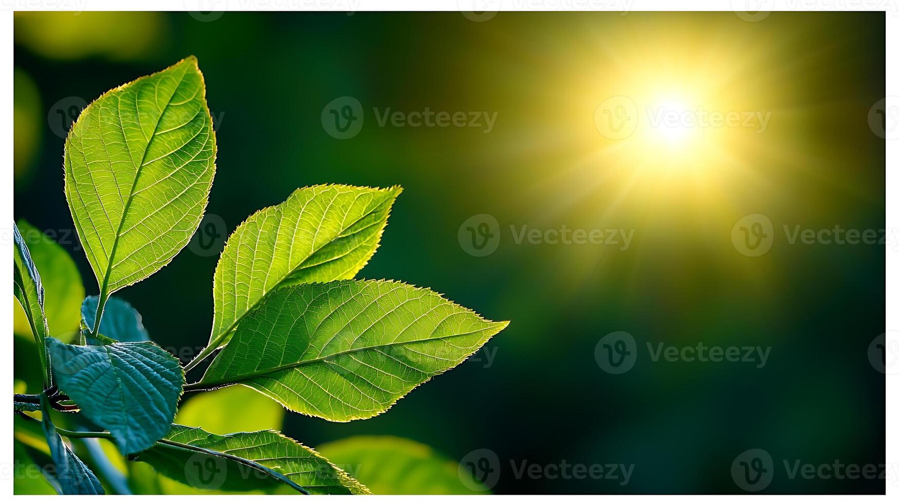 Sunlight illuminating vibrant green leaves in a serene natural setting, evoking tranquility photo