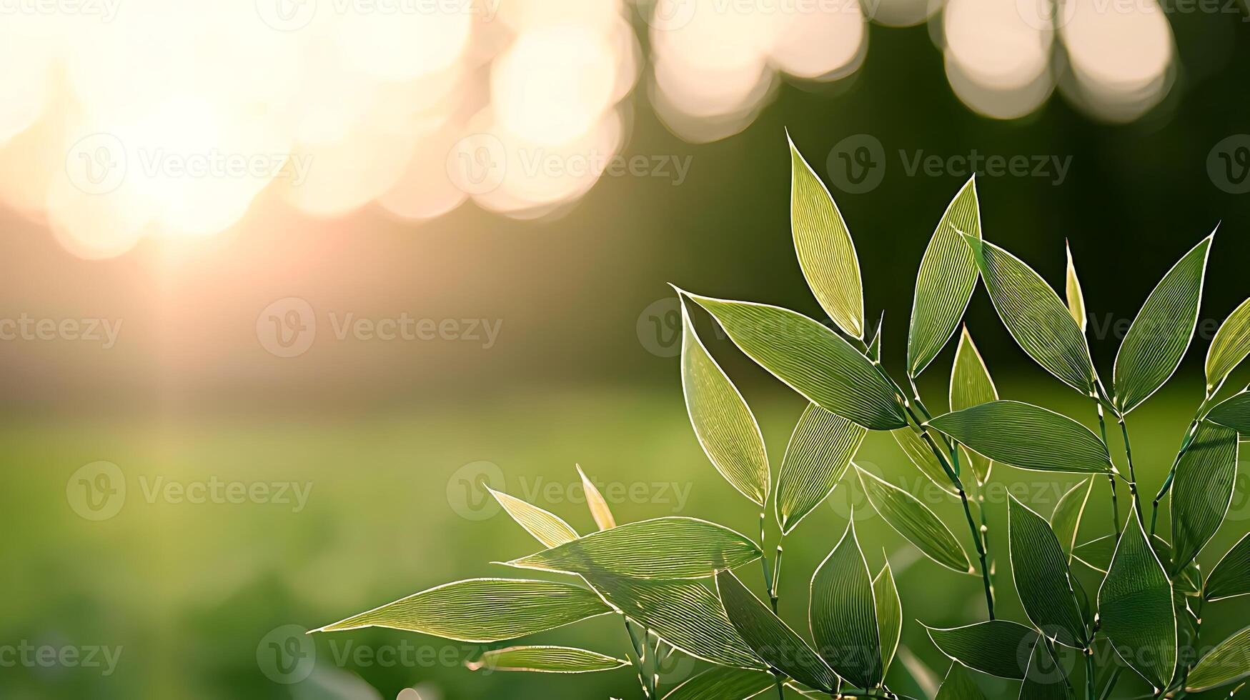 Sunlit green leaves in a serene outdoor setting with a soft-focus background of nature photo