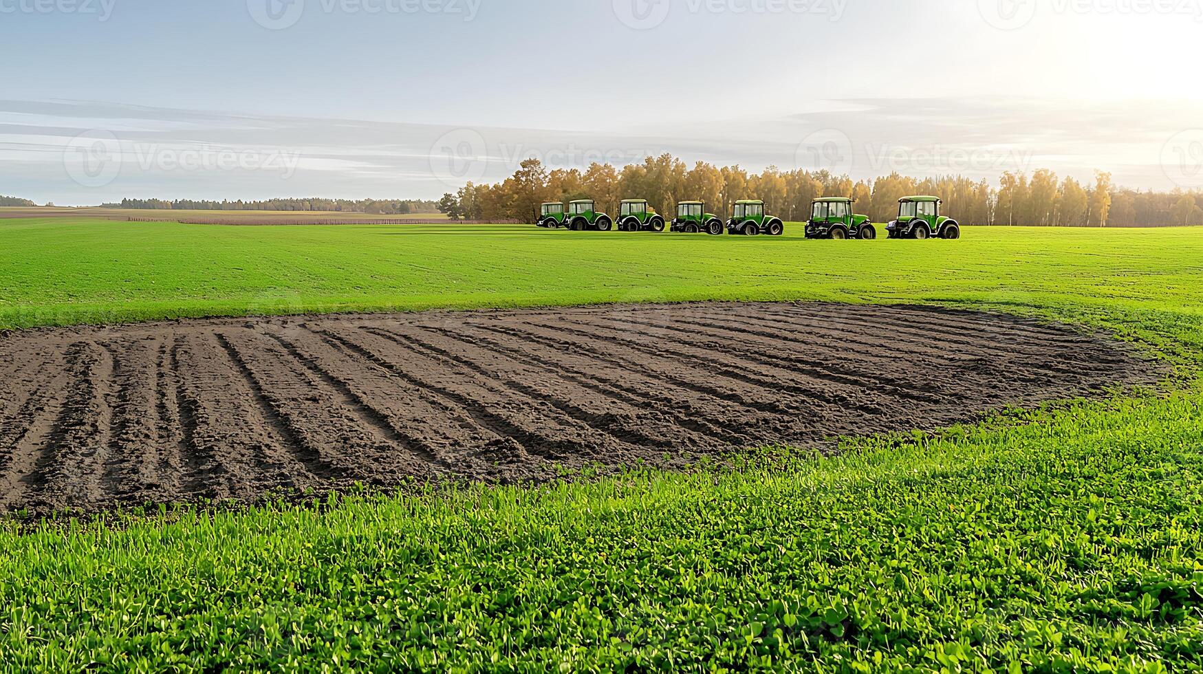 Tractors preparing a lush green field for planting under a clear sky with distant trees photo