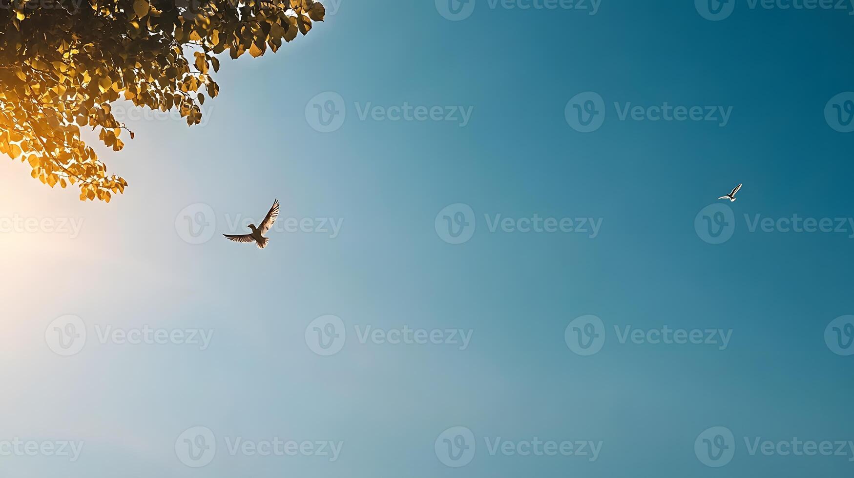 Two birds soaring in a clear blue sky with sunlight filtering through tree leaves photo