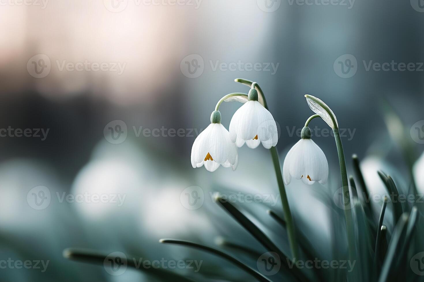 Delicate white wildflowers emerge through lush green grass, surrounded by a gentle soft-focus bokeh background that creates an atmosphere of serenity and elegance in nature photo