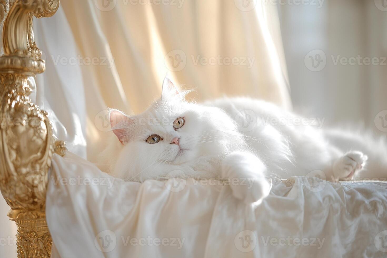 A majestic Persian cat reclines elegantly on a gilded throne, bathed in soft golden light. The setting features exquisite velvet textures and smooth marble flooring, creating a regal atmosphere photo