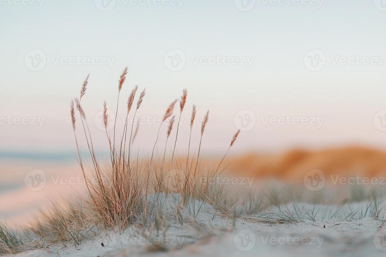 Tall wild grass dances in a gentle breeze under soft sunlight, creating a serene atmosphere with pastel hues. The scene evokes a calming Scandinavian minimalist aesthetic photo