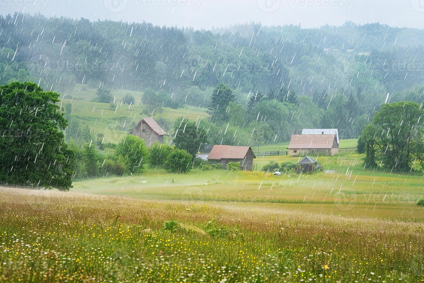 A field of grass with trees and a house in the rain photo