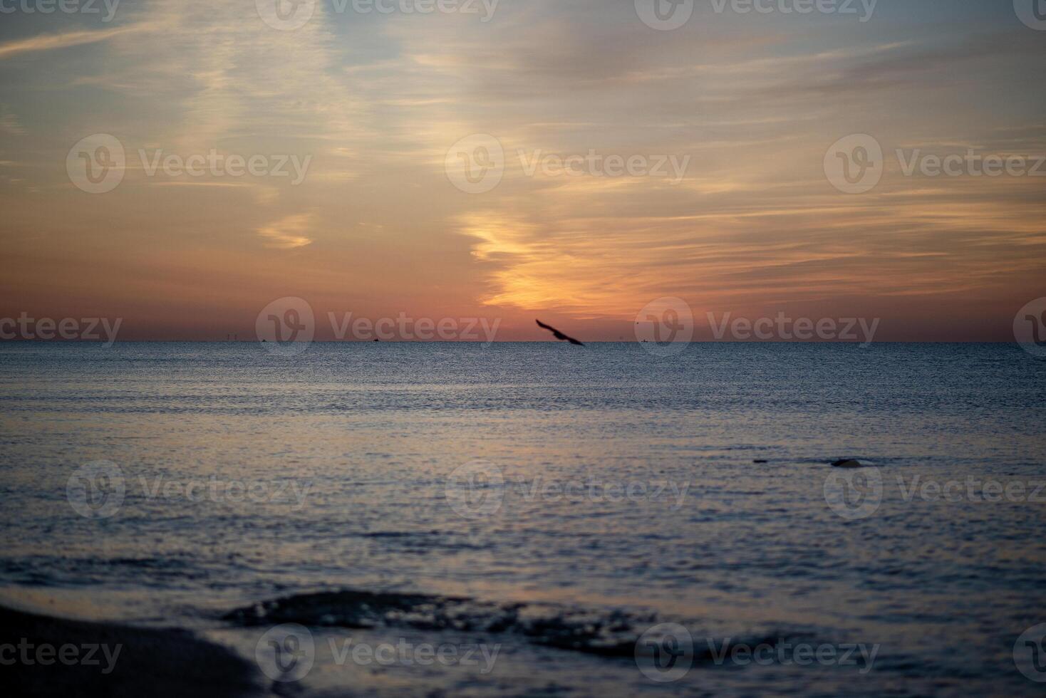 Beautiful seascape with a bright horizon. The sun over the sea has painted the sky red. A seagull is flying on the horizon. photo