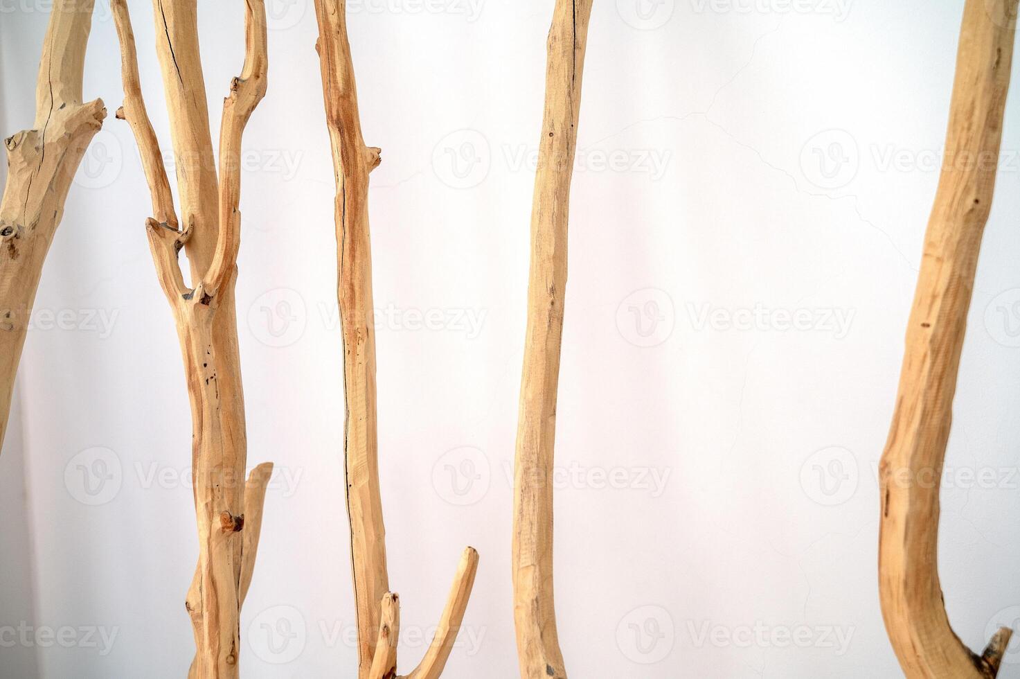 Natural background of white wall decorated with wood. Light beige tree branches are located perpendicular to the floor. They create an eco-friendly background. Close-up of dry varnished branches for decoration photo