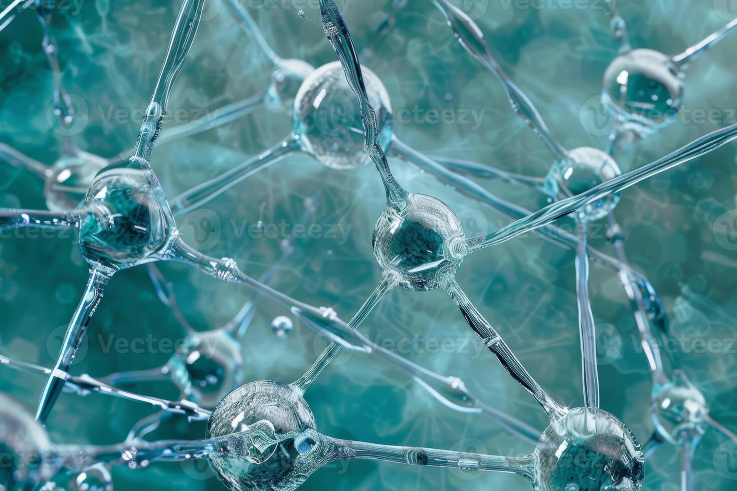 A close up of a network of cells photo