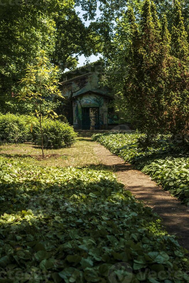 a path for walking in the park. The sun casts a shadow on the ground. Tall trees grow around. Ivy spreads along the ground. A house can be seen at the end of the path. photo