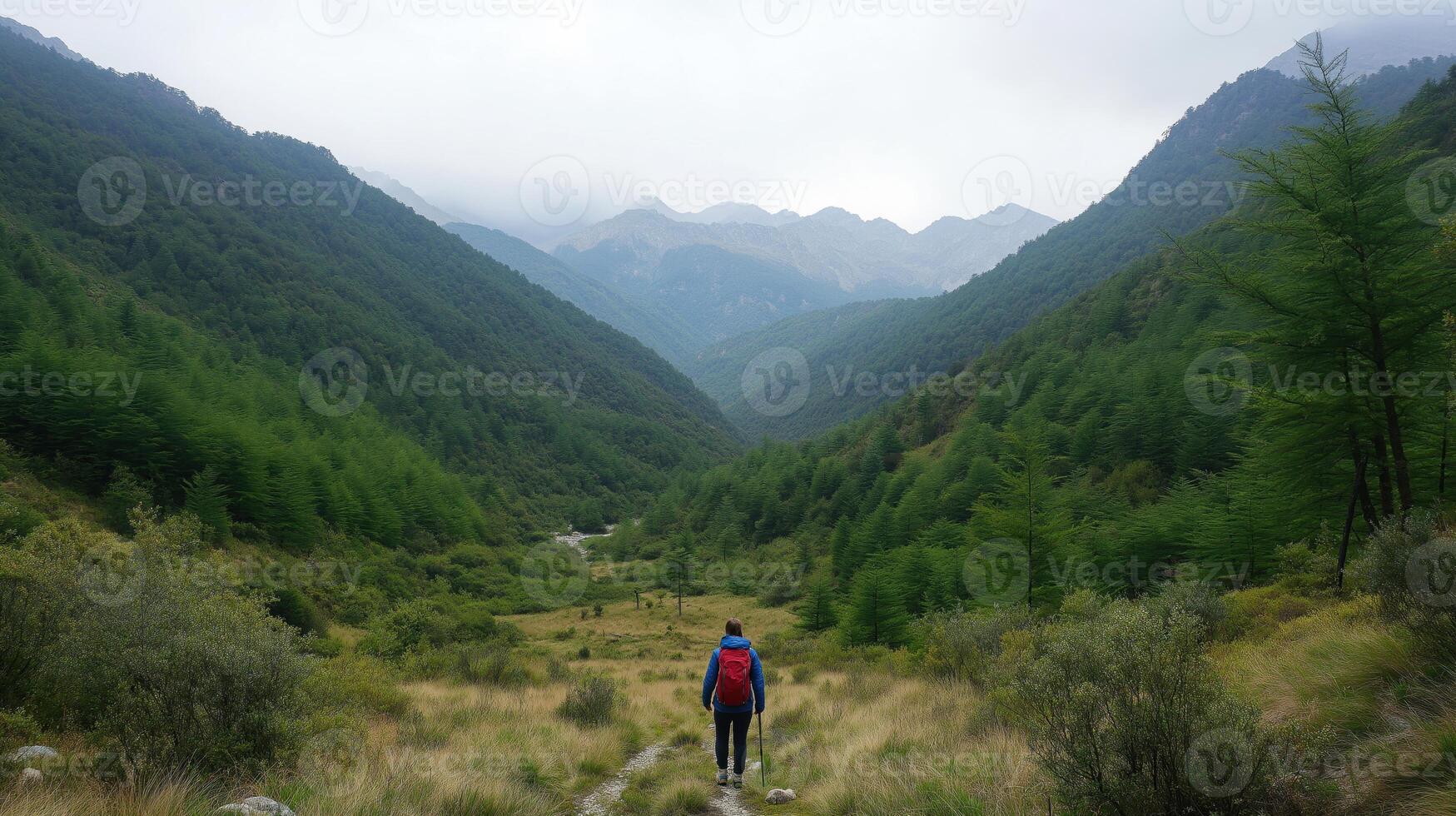 person standing in the middle of a forested valley with mountains in the background. The person is wearing a blue jacket and has a red backpack on their back photo