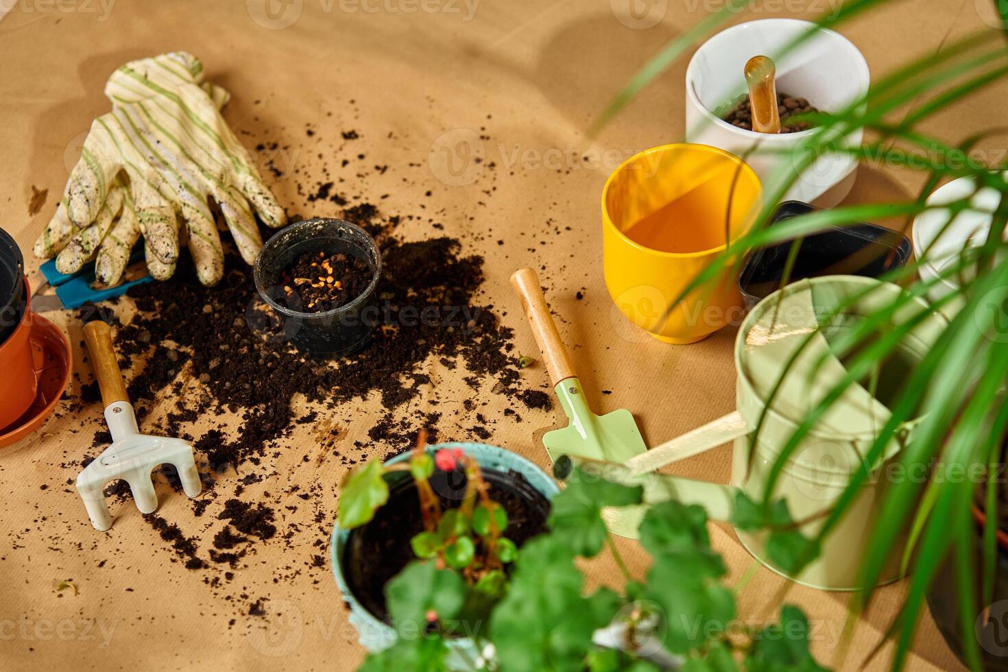 Gardening tools, soil and potted plants on floor. Concept of home gardening and plant care photo