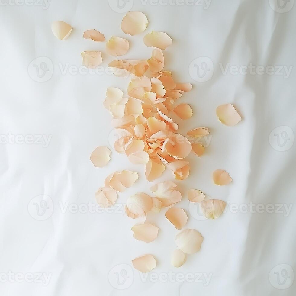 Peach rose petals falling on white sheets creating romantic atmosphere photo