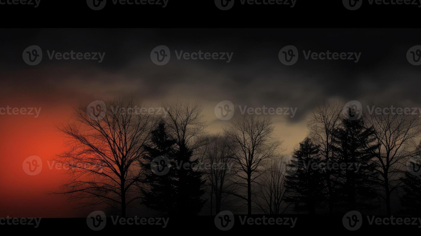 trees black gradient photo