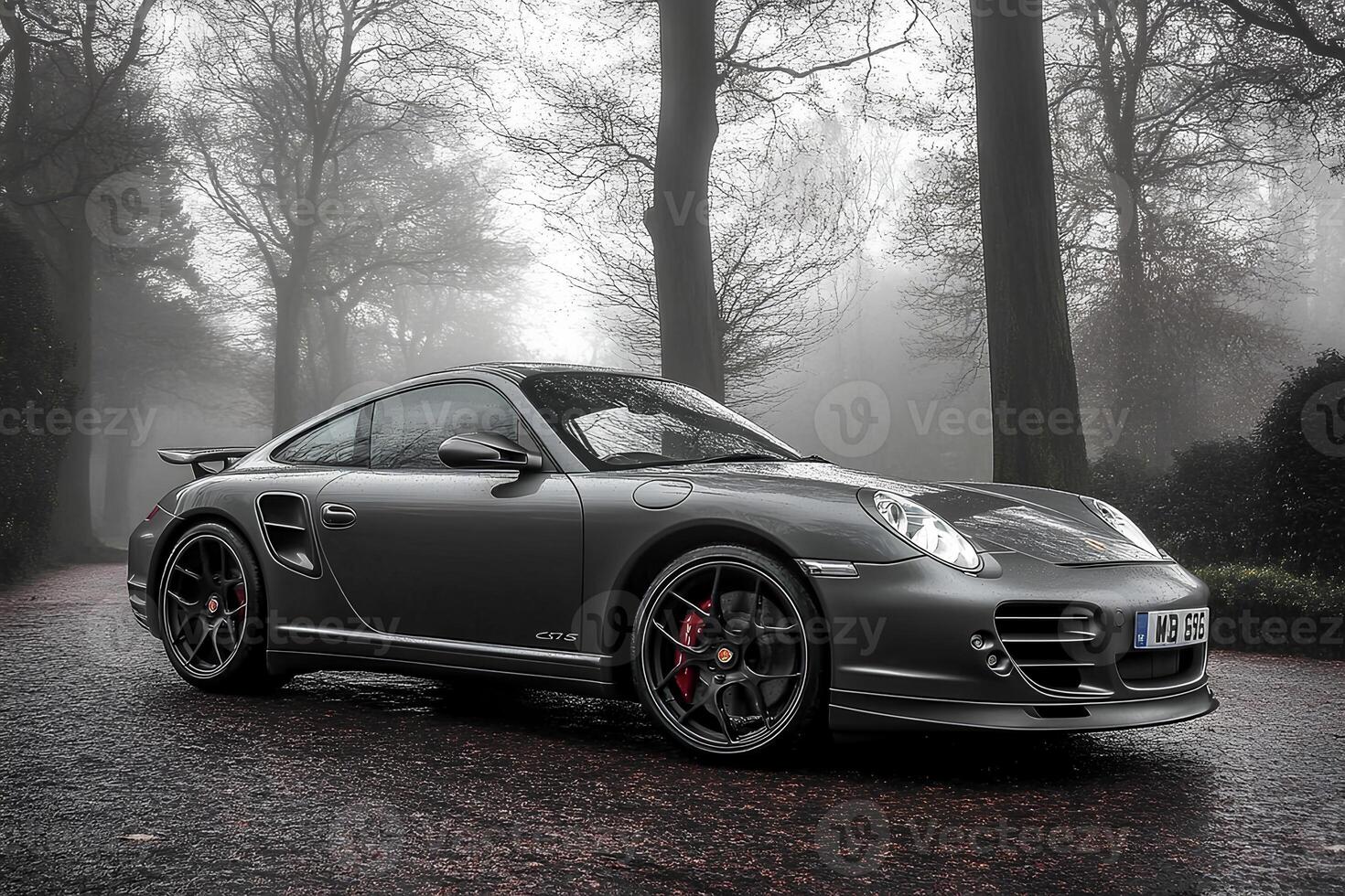 A sleek Porsche 911 Turbo S parked in a mysterious foggy forest, blending luxury with natures fog, creating a dramatic and captivating scene photo