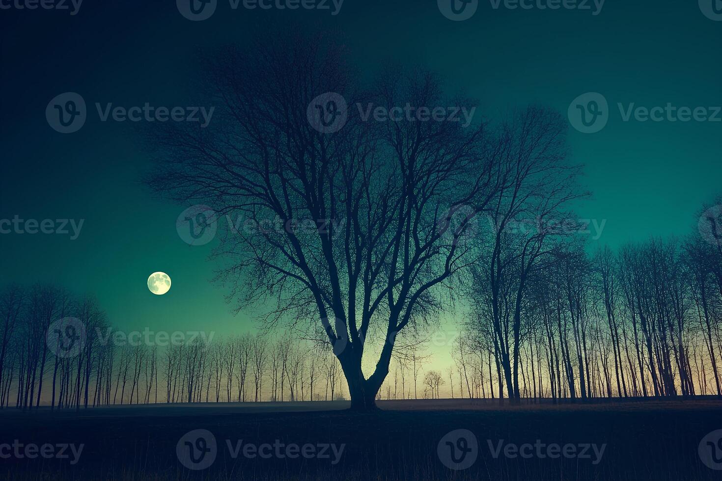 A stunning landscape featuring a large tree silhouetted against a bright full moon in the night sky. The serene, peaceful scene captures the beauty of nature and the moonlit night photo