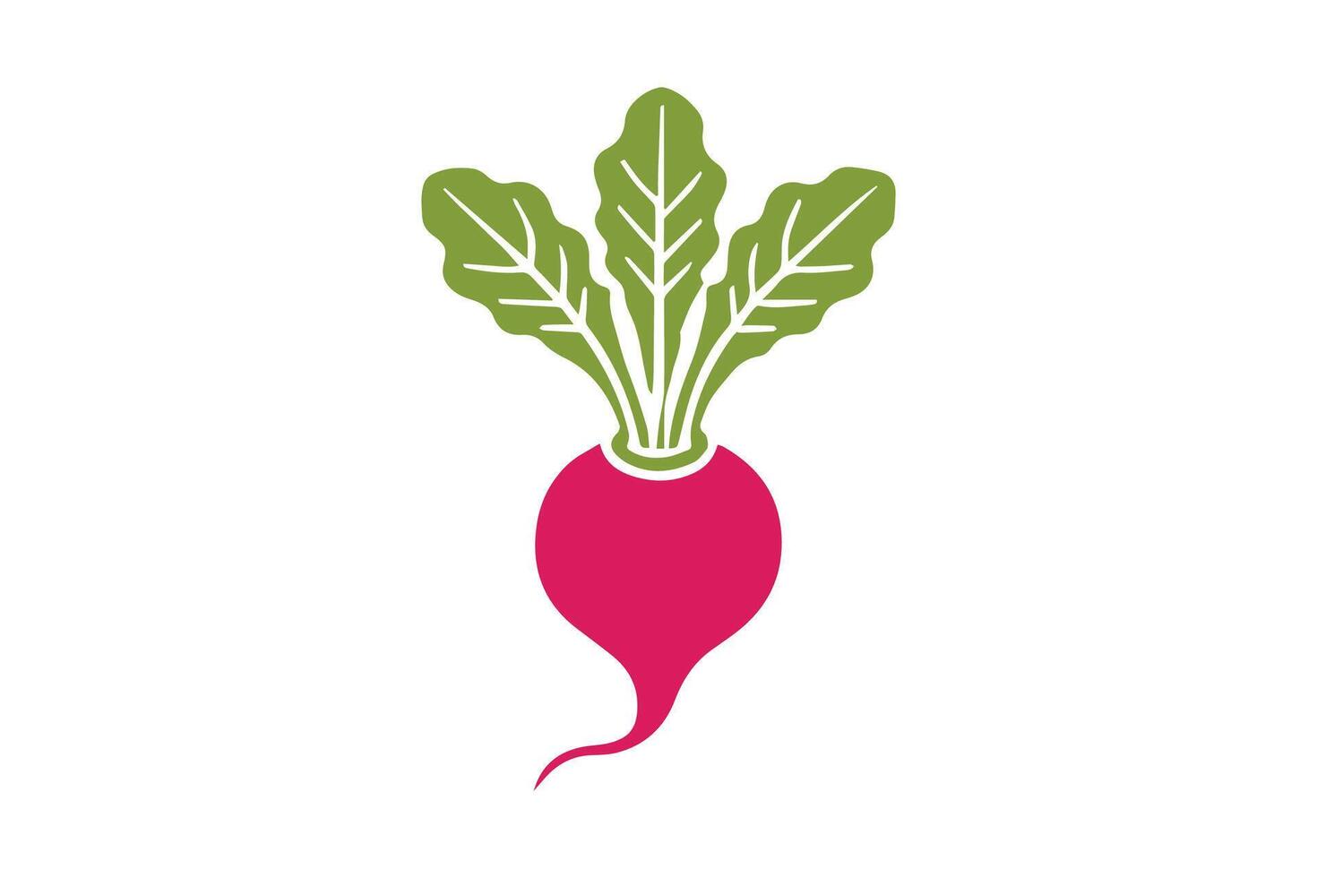 A red beet on a white background vector