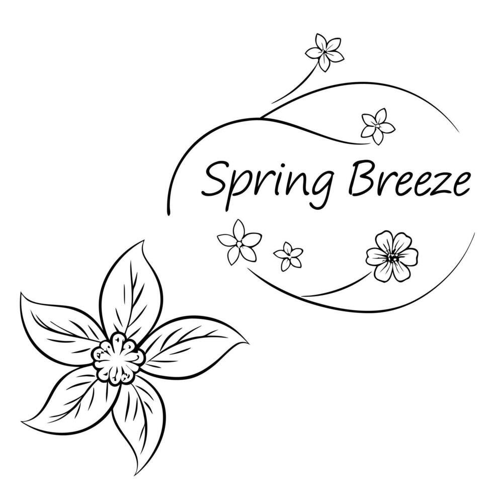 Falling Cherry Blossom and Breeze Symbol with Spring Breeze Text concept as A cherry blossom petal and breeze symbol floating together with Spring Breeze text subtly included at th Cleans vector