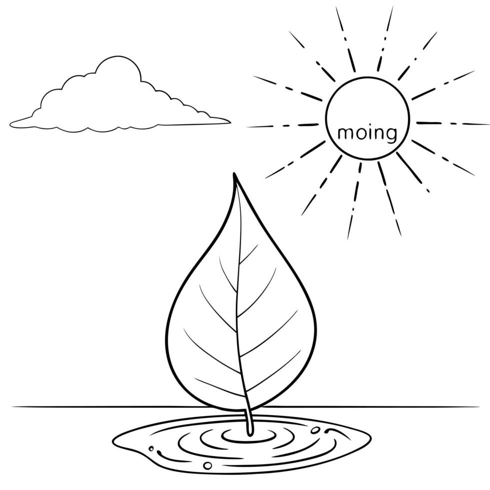 Flat Floating Leaf and Dew Drop with Morning Mist Text concept as A single leaf and dew drop appearing to float in mid air with Morning Mist text subtly included at the bottom The Cleans Set 2 vector