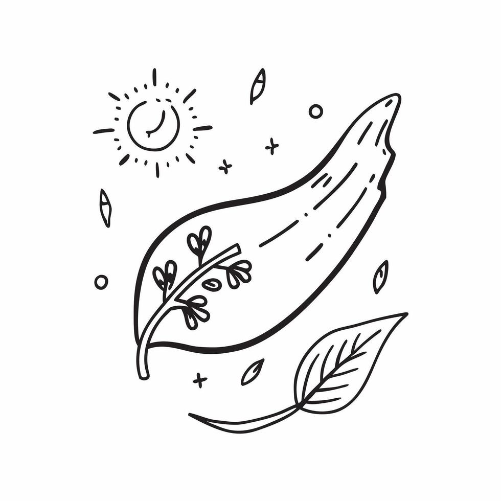 Flat Floating Leaf and Snowflake with Changing Seasons Text concept as A leaf and snowflake floating together in mid air with Changing Seasons text subtly included at the bottom T Cleans Set 3 vector