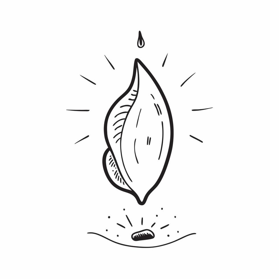 Floating Flower Petal and Sun Ray with Golden Hour Text concept as A flower petal and sun ray floating together in mid air with Golden Hour text subtly included at the bottom The Cleans Set 3 vector