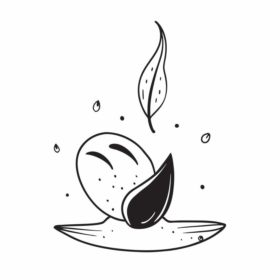 Floating Leaf and Dew Drop with Morning Mist Text concept as A single leaf and dew drop appearing to float in mid air with Morning Mist text subtly included at the bottom The elem Cleans Set 3 vector