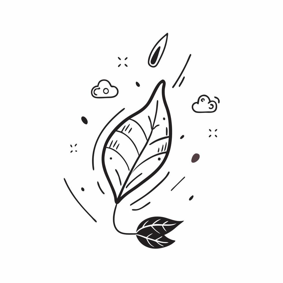 Floating Leaf and Snowflake with Changing Seasons Text concept as A leaf and snowflake floating together in mid air with Changing Seasons text subtly included at the bottom The el Cleans Set 3 vector