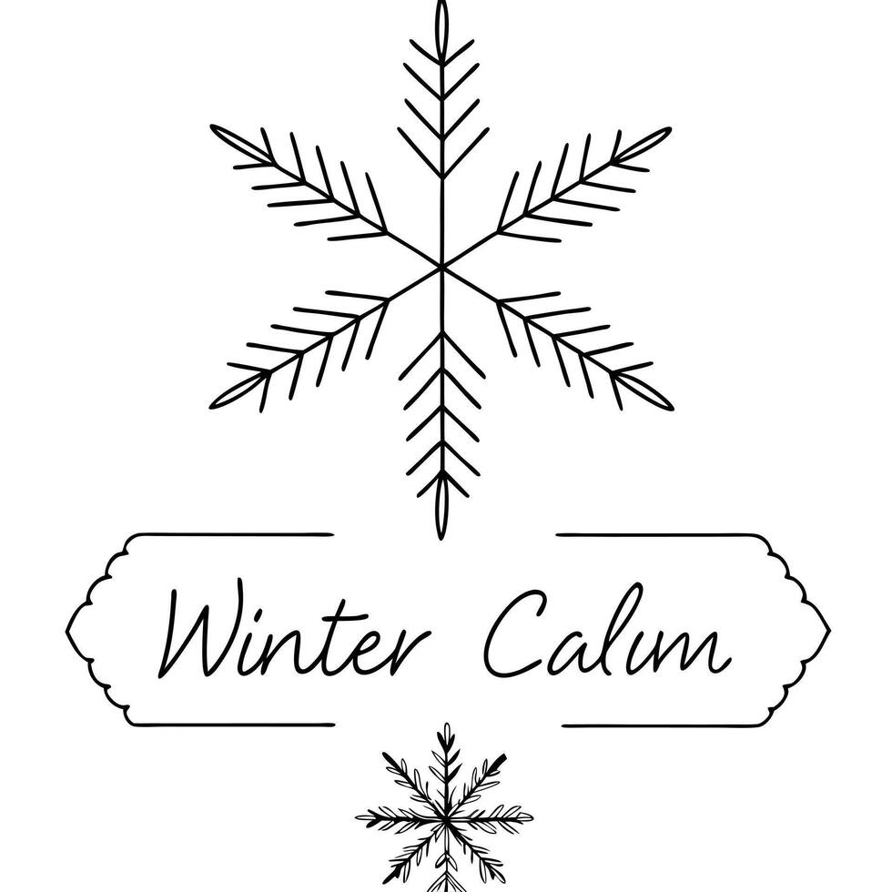 Floating Snowflake and Pine Needle with Winter Calm Text concept as A snowflake and pine needle floating together in mid air with Winter Calm text subtly included at the bottom Th Cleans vector
