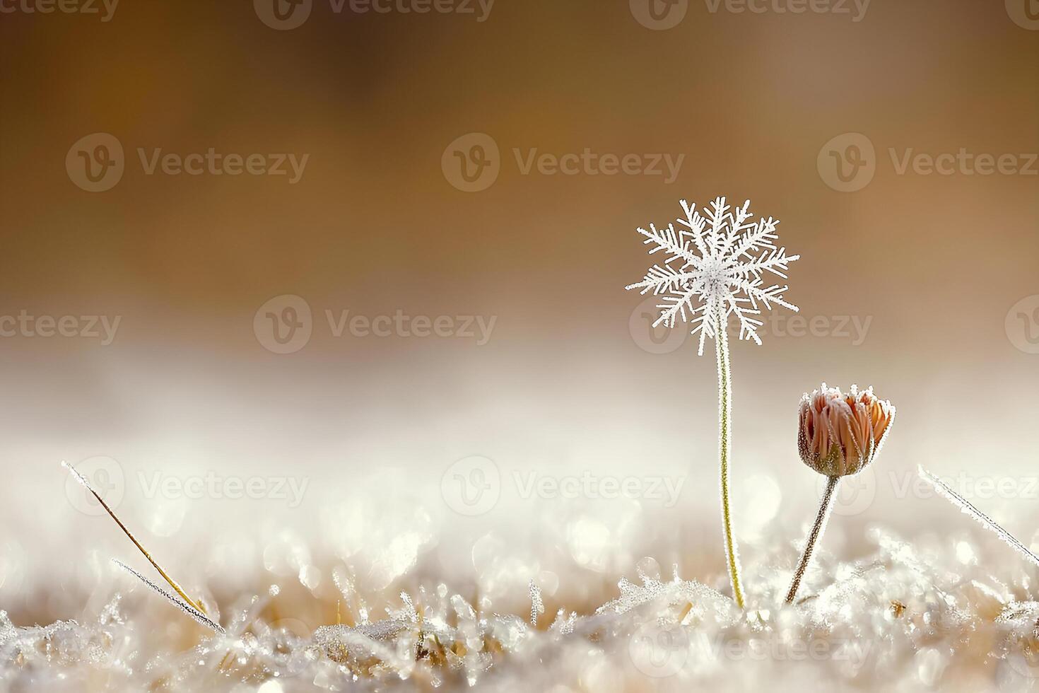 A delicate flower covered with snowflakes, captured with a shallow depth of field, creating a soft, dreamy effect that highlights the beauty of winter photo