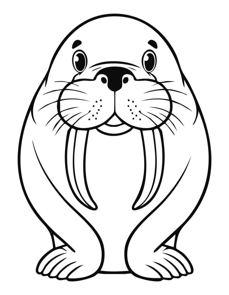 Cute Walrus Coloring Kid Book Page in Black and White. Monochrome and Colored vector