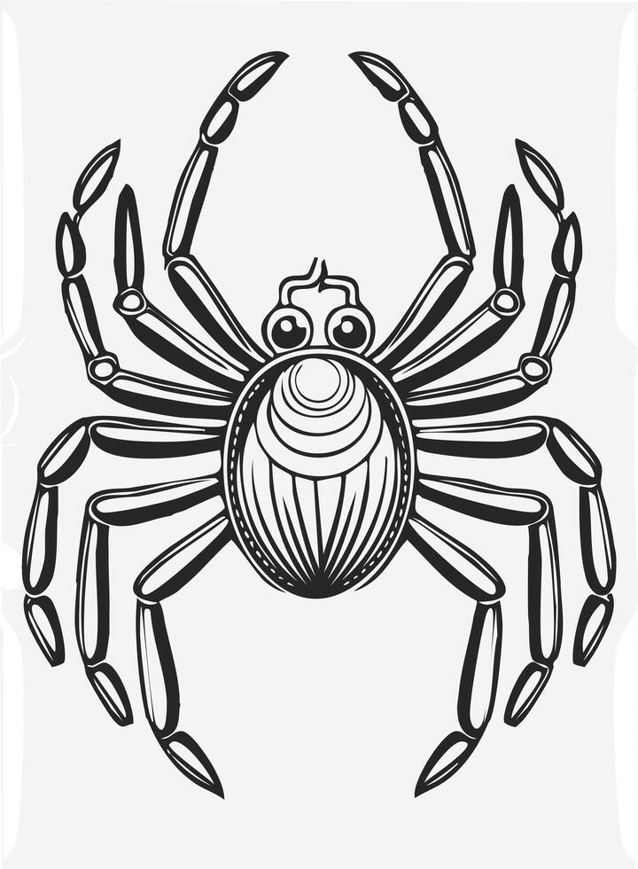 Cute Spider Animal Coloring Kid Page in Black and White. Monochrome and Colored Samples vector