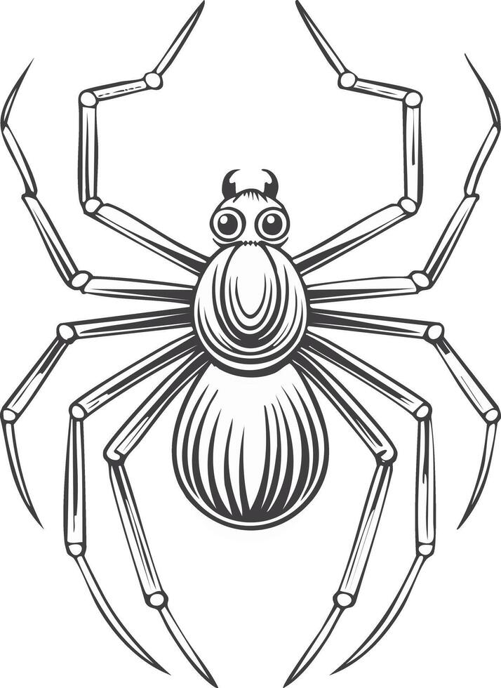 Cute Spider Animal Coloring Kid Book Page in Black and White. Monochrome and Colored vector