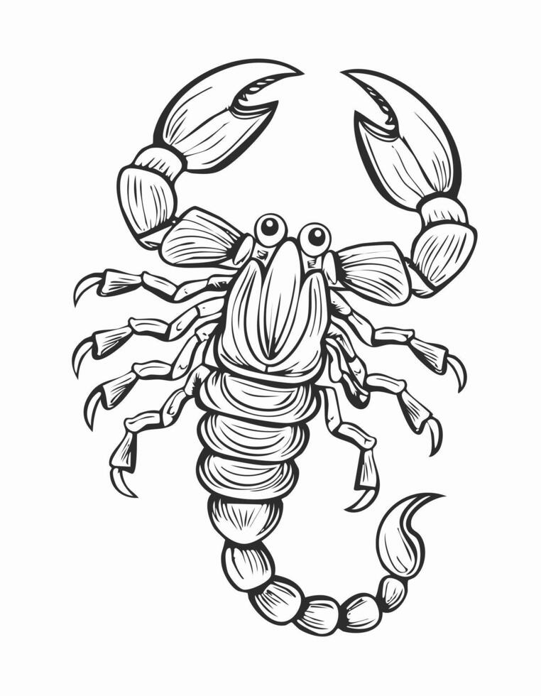 Cute Scorpion Animal Coloring Kid Book Page in Black and White. and Colored Samples vector
