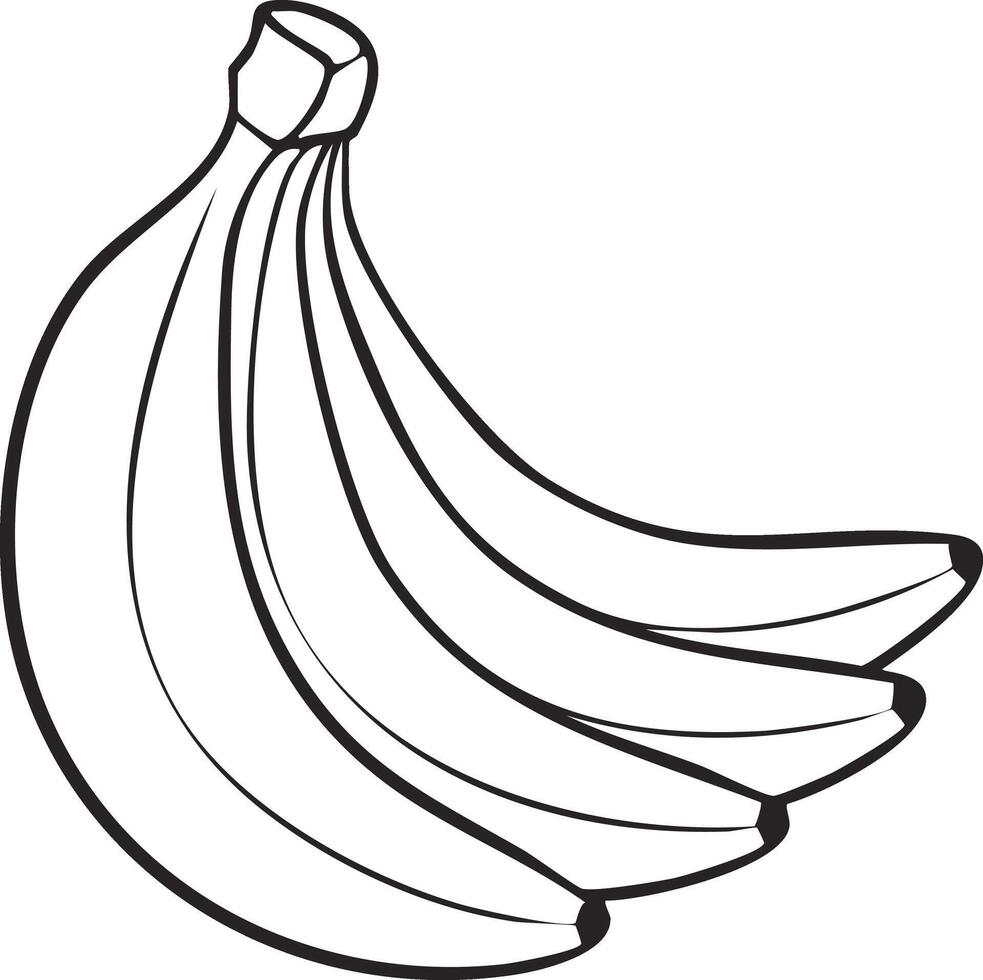 Banana Fruit Food Meal Healthy Coloring Kid Book Page in Black and White. Monochrome and Colored vector