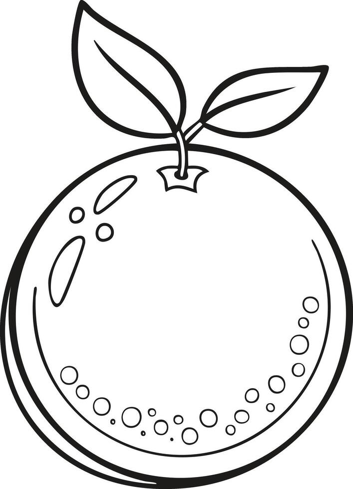 Orange Tangerine Fruit Food Meal Healthy Coloring Kid Book in Black and White. Monochrome and Colored Samples vector