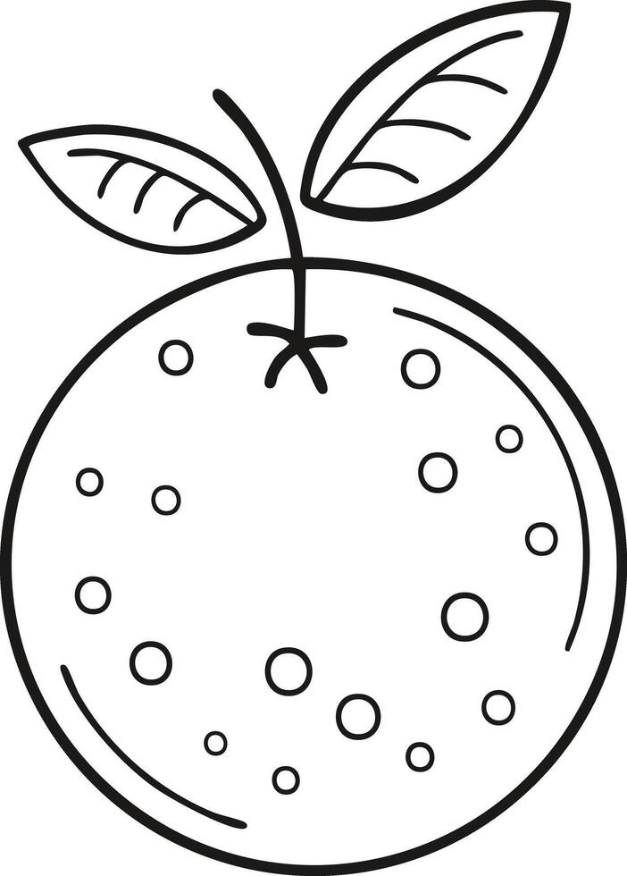 Orange Tangerine Fruit Food Meal Healthy Coloring Kid Book Page Black and White. Monochrome and Colored Samples vector