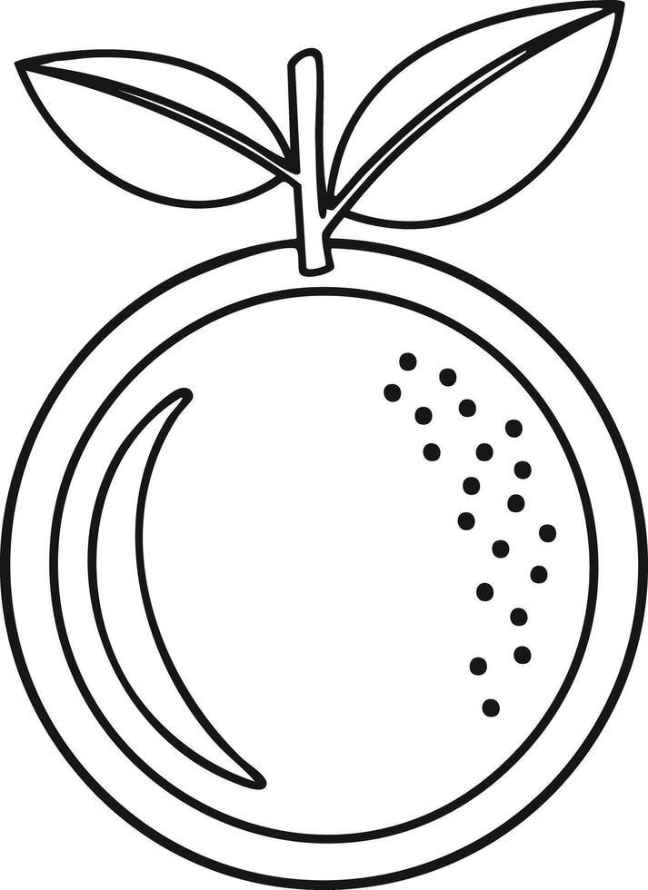 Orange Tangerine Fruit Food Meal Healthy Coloring Kid Book Page in Black and White. Monochrome Colored Samples vector