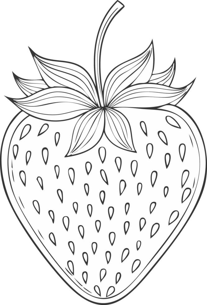 Strawberry Fruit Food Meal Healthy Coloring Kid Book Page in Black and White. Monochrome and Colored vector