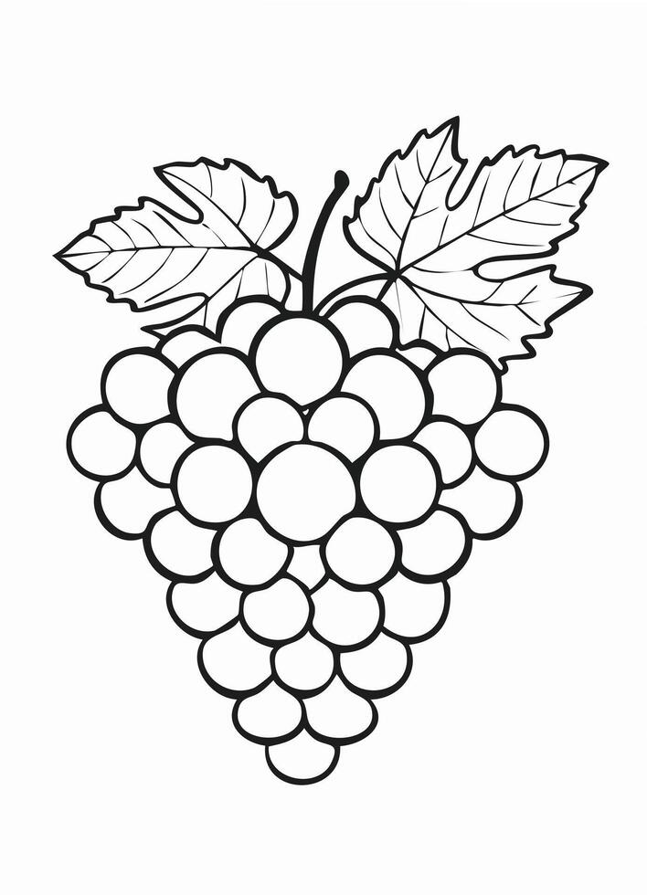 Grape Fruit Food Meal Healthy Coloring Kid Book Page in Black and White. Monochrome and Colored vector