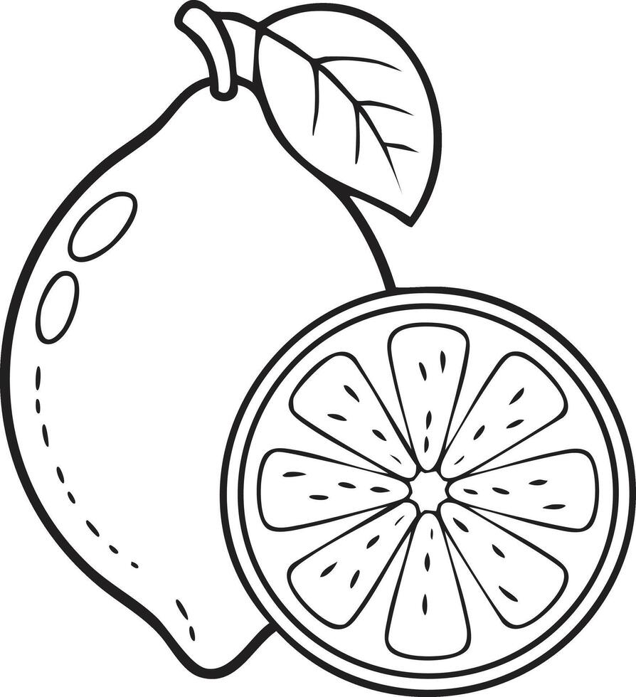 Lemon Fruit Food Meal Healthy Coloring Kid Book Page in Black and White. and Colored Samples vector