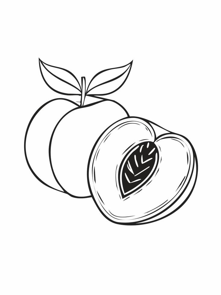 Peach Fruit Food Meal Healthy Coloring Kid Book Page in Black and White. vector