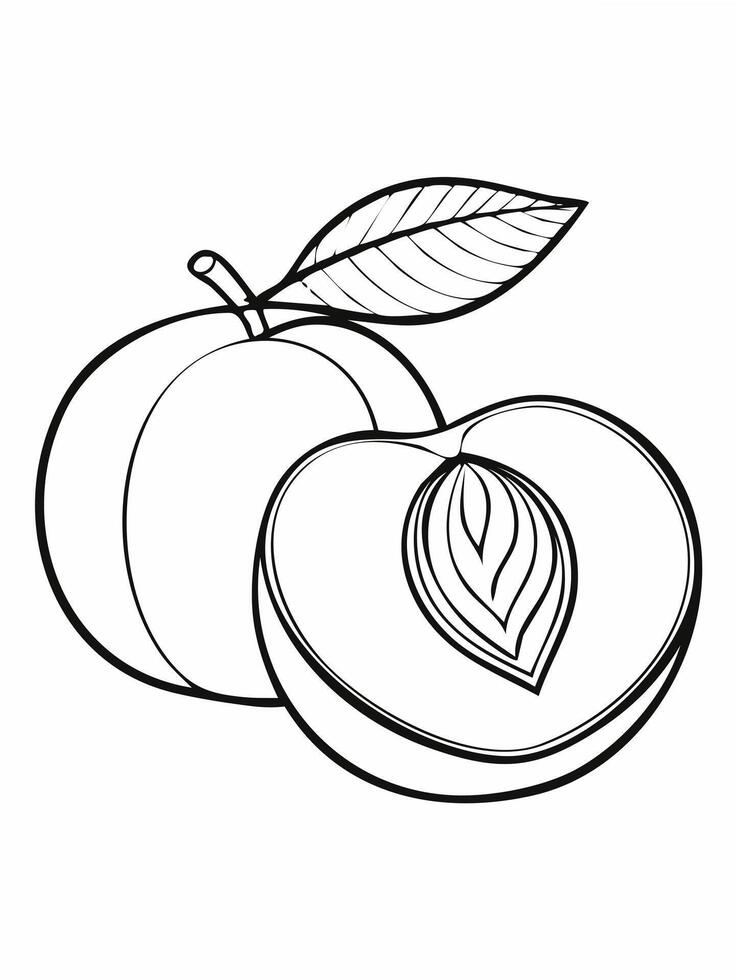 Peach Fruit Food Meal Healthy Coloring Kid Book Page in Black and White. Monochrome and Colored vector