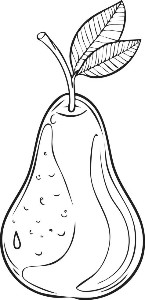 Pear Fruit Food Meal Healthy Coloring Kid Page in Black and White. Monochrome and Colored Samples vector